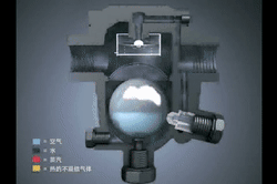 SSFM自由浮球壓縮.gif